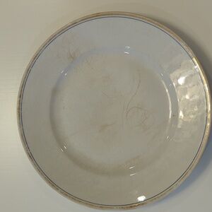 Antique Ironstone Dinner Plates: Homer Laughlin & Edwin M. Knowles